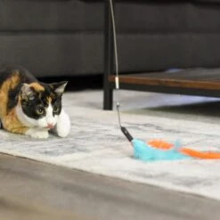 Turbo Tail Cat Toy, Tail Teaser -Pet Supplies Store 202233 PT3. AC SS1800 V1677957893