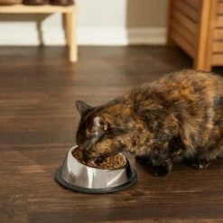 Frisco Stainless Steel Taper Non-Skid Cat Bowl -Pet Supplies Store 204467 PT6. AC SS1800 V1599090080