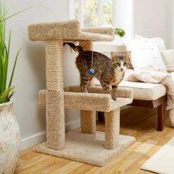 New Products 21 Frisco 32-in Real Carpet Wooden Cat Tree With Toy