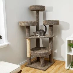 New Products 23 Frisco 65-in Real Carpet Scratch And Lounge Cat Tree