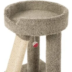 Frisco 24-in Real Carpet Cat Scratching Perch With Toy -Pet Supplies Store 208960 PT3. AC SS1800 V1589221651