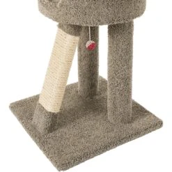 Frisco 24-in Real Carpet Cat Scratching Perch With Toy -Pet Supplies Store 208960 PT4. AC SS1800 V1589221657