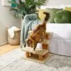 Frisco 20-in 3-Step Real Carpet Wooden Cat Steps -Pet Supplies Store 208966 MAIN. AC SS1800 V1602682013