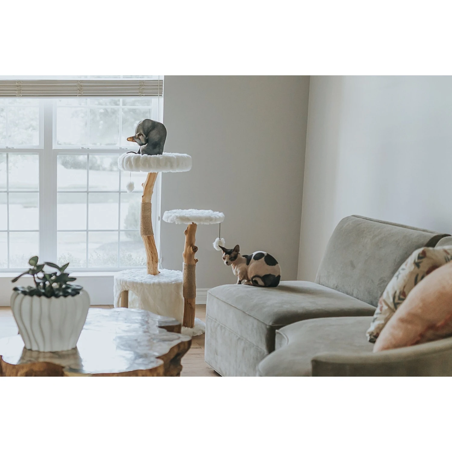 Mau Lifestyle Alba 43-in Modern Wooden Cat Tree & Condo 5 Mau Lifestyle Alba 43-in Modern Wooden Cat Tree & Condo - Image 3