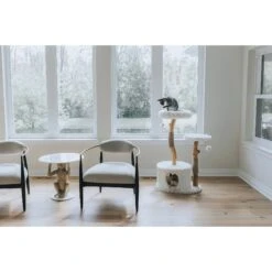 Mau Lifestyle Alba 43-in Modern Wooden Cat Tree & Condo 13 Mau Lifestyle Alba 43-in Modern Wooden Cat Tree & Condo -Pet Supplies Store 211717 PT4. AC SS1800 V1632954391