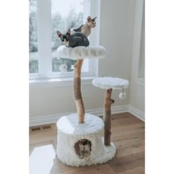 Mau Lifestyle Alba 43-in Modern Wooden Cat Tree & Condo 14 Mau Lifestyle Alba 43-in Modern Wooden Cat Tree & Condo -Pet Supplies Store 211717 PT5. AC SS1800 V1632954718