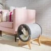 Frisco Modern Tunnel Elevated Cat Bed 1 Frisco Modern Tunnel Elevated Cat Bed -Pet Supplies Store 214365 MAIN. AC SS1800 V1606832514