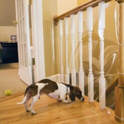 Cardinal Gates Indoor Banister Dog & Cat Shield Protector, Clear 7 Cardinal Gates Indoor Banister Dog & Cat Shield Protector, Clear -Pet Supplies Store 217345 PT2. AC SS1800 V1628003803