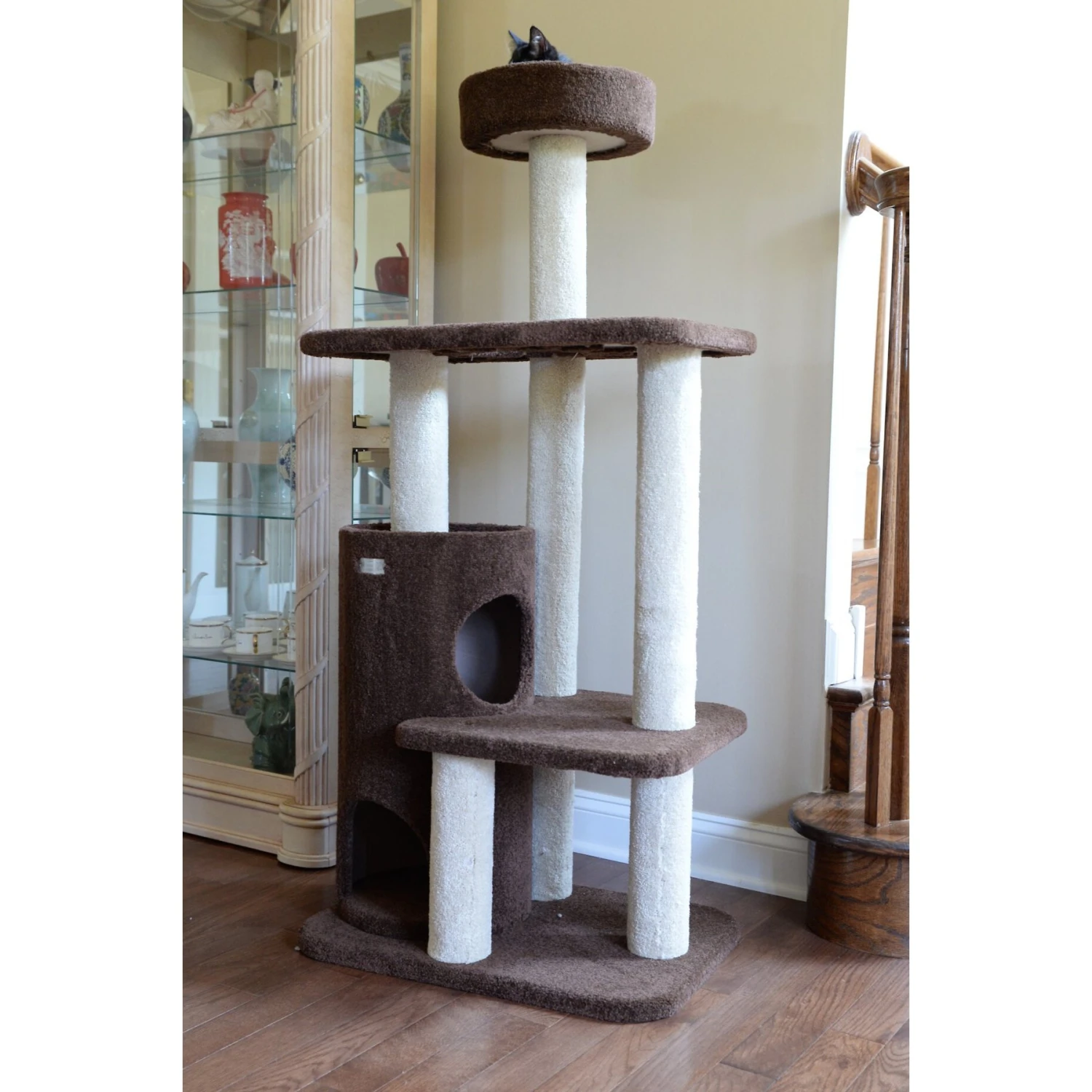 Armarkat 56-in Carpeted Condo Cat Tree, Brown 6 Armarkat 56-in Carpeted Condo Cat Tree, Brown - Image 4