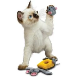 KONG Pull-A-Partz Cheezy Cat Toy -Pet Supplies Store 219705 PT2. AC SS1800 V1631759876