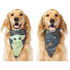 STAR WARS THE MANDALORIAN GROGU "Cutest Bounty" Reversible Dog & Cat Bandana