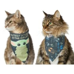STAR WARS THE MANDALORIAN GROGU "Cutest Bounty" Reversible Dog & Cat Bandana -Pet Supplies Store 220290 PT2. AC SS1800 V1646443013