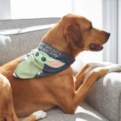 STAR WARS THE MANDALORIAN GROGU "Cutest Bounty" Reversible Dog & Cat Bandana -Pet Supplies Store 220290 PT7. AC SS1800 V1646442795