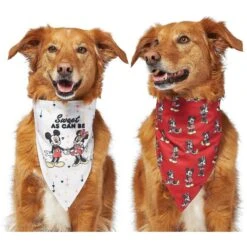 Disney Mickey Mouse & Minnie Mouse "Sweet As Can Be" Reversible Dog & Cat Bandana 15 Disney Mickey Mouse & Minnie Mouse "Sweet As Can Be" Reversible Dog & Cat Bandana -Pet Supplies Store 220293 PT4. AC SS1800 V1637667456