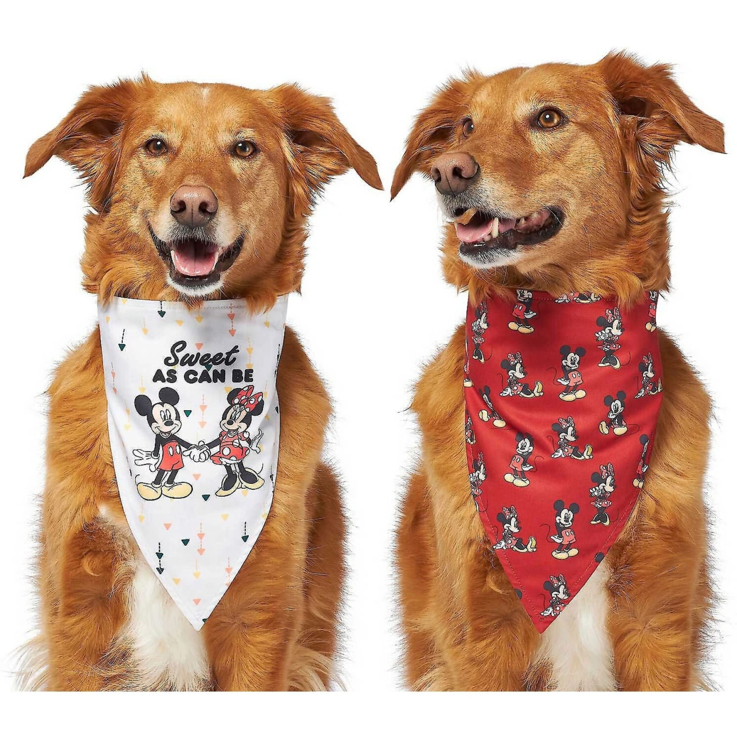 Disney Mickey Mouse & Minnie Mouse "Sweet As Can Be" Reversible Dog & Cat Bandana 7 Disney Mickey Mouse & Minnie Mouse "Sweet As Can Be" Reversible Dog & Cat Bandana - Image 5