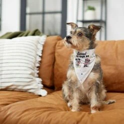 Disney Mickey Mouse & Minnie Mouse "Sweet As Can Be" Reversible Dog & Cat Bandana 16 Disney Mickey Mouse & Minnie Mouse "Sweet As Can Be" Reversible Dog & Cat Bandana -Pet Supplies Store 220293 PT5. AC SS1800 V1637707356