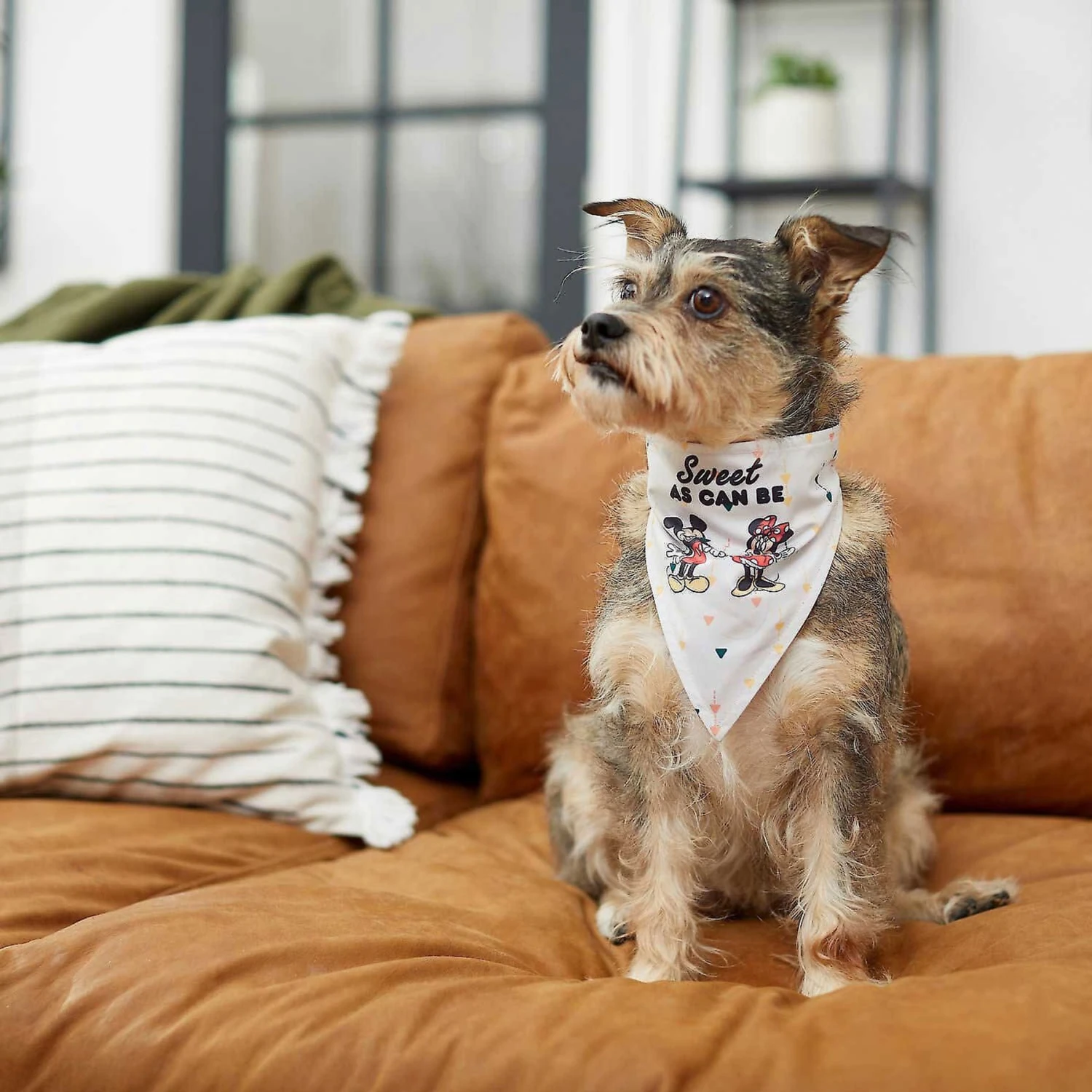 Disney Mickey Mouse & Minnie Mouse "Sweet As Can Be" Reversible Dog & Cat Bandana 8 Disney Mickey Mouse & Minnie Mouse "Sweet As Can Be" Reversible Dog & Cat Bandana - Image 6