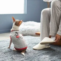 Disney Mickey Mouse & Minnie Mouse "Sweet As Can Be" Reversible Dog & Cat Bandana 18 Disney Mickey Mouse & Minnie Mouse "Sweet As Can Be" Reversible Dog & Cat Bandana -Pet Supplies Store 220293 PT7. AC SS1800 V1633126030