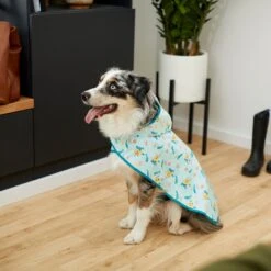 Disney Lightweight Flounder Print Dog & Cat Raincoat 13 Disney Lightweight Flounder Print Dog & Cat Raincoat -Pet Supplies Store 220303 PT8. AC SS1800 V1646178839