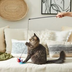 Marvel 's Spider-Man Teaser Cat Toy With Catnip 7 Marvel 's Spider-Man Teaser Cat Toy With Catnip -Pet Supplies Store 220890 PT3. AC SS1800 V1621383280