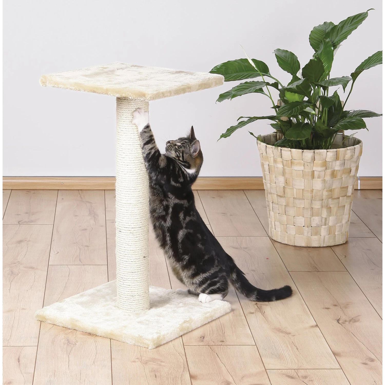 TRIXIE Espejo 27.2-in Fleece Cat Scratching Post 3 TRIXIE Espejo 27.2-in Fleece Cat Scratching Post