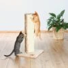 TRIXIE Soria 31.5-in Plush Tower Cat Scratching Post 2 TRIXIE Soria 31.5-in Plush Tower Cat Scratching Post -Pet Supplies Store 221639 main. AC SS1800 V1582064609