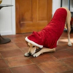 Frisco Textured Knit Dog & Cat Hoodie 17 Frisco Textured Knit Dog & Cat Hoodie -Pet Supplies Store 224233 PT7. AC SS1800 V1601578309