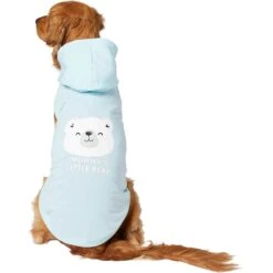 Frisco Mommy's Little Bear Dog & Cat Hoodie -Pet Supplies Store 224272 PT2. AC SS1800 V1637691116