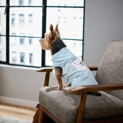 Frisco Mommy's Little Bear Dog & Cat Hoodie -Pet Supplies Store 224272 PT6. AC SS1800 V1637715724