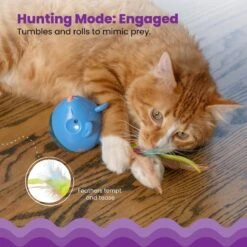 Catstages Hunt 'N Swat Treat Dispenser Cat Toy -Pet Supplies Store 227094 PT2. AC SS1800 V1636504086