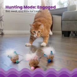 Catstages Mousin' Around Hide 'N Treat Dispenser Cat Toy, 3 Count 9 Catstages Mousin' Around Hide 'N Treat Dispenser Cat Toy, 3 Count -Pet Supplies Store 227096 PT2. AC SS1800 V1636513396