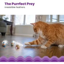 Catstages Mousin' Around Hide 'N Treat Dispenser Cat Toy, 3 Count 10 Catstages Mousin' Around Hide 'N Treat Dispenser Cat Toy, 3 Count -Pet Supplies Store 227096 PT3. AC SS1800 V1636516682