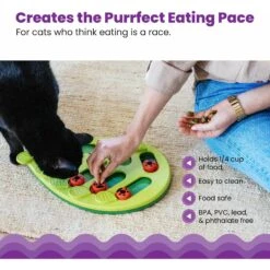 Nina Ottosson By Outward Hound Buggin' Out Puzzle & Play Cat Toy 14 Nina Ottosson By Outward Hound Buggin' Out Puzzle & Play Cat Toy -Pet Supplies Store 227098 PT3. AC SS1800 V1636511821
