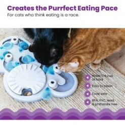Nina Ottosson By Outward Hound Rainy Day Puzzle & Play Cat Toy -Pet Supplies Store 227102 PT3. AC SS1800 V1636513619