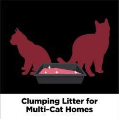 Arm & Hammer Litter Platinum Clump & Seal Cat Litter 15 Arm & Hammer Litter Platinum Clump & Seal Cat Litter -Pet Supplies Store 229238 PT4. AC SS1800 V1663797650