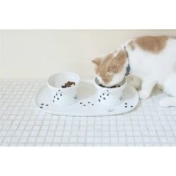 Necoichi Double Dining Tray Set & Elevated Cat Bowls 16 Necoichi Double Dining Tray Set & Elevated Cat Bowls -Pet Supplies Store 230660 PT5. AC SS1800 V1631312470