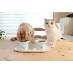 Necoichi Double Dining Tray Set & Elevated Cat Bowls 17 Necoichi Double Dining Tray Set & Elevated Cat Bowls -Pet Supplies Store 230660 PT6. AC SS1800 V1631311878