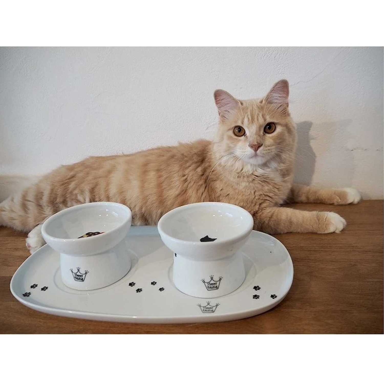 Necoichi Double Dining Tray Set & Elevated Cat Bowls 11 Necoichi Double Dining Tray Set & Elevated Cat Bowls - Image 9