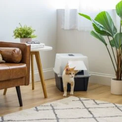 IRIS USA Enclosed With Front Door Flap & Scoop Cat Litter Box 16 IRIS USA Enclosed With Front Door Flap & Scoop Cat Litter Box -Pet Supplies Store 231660 PT5. AC SS1800 V1680811968