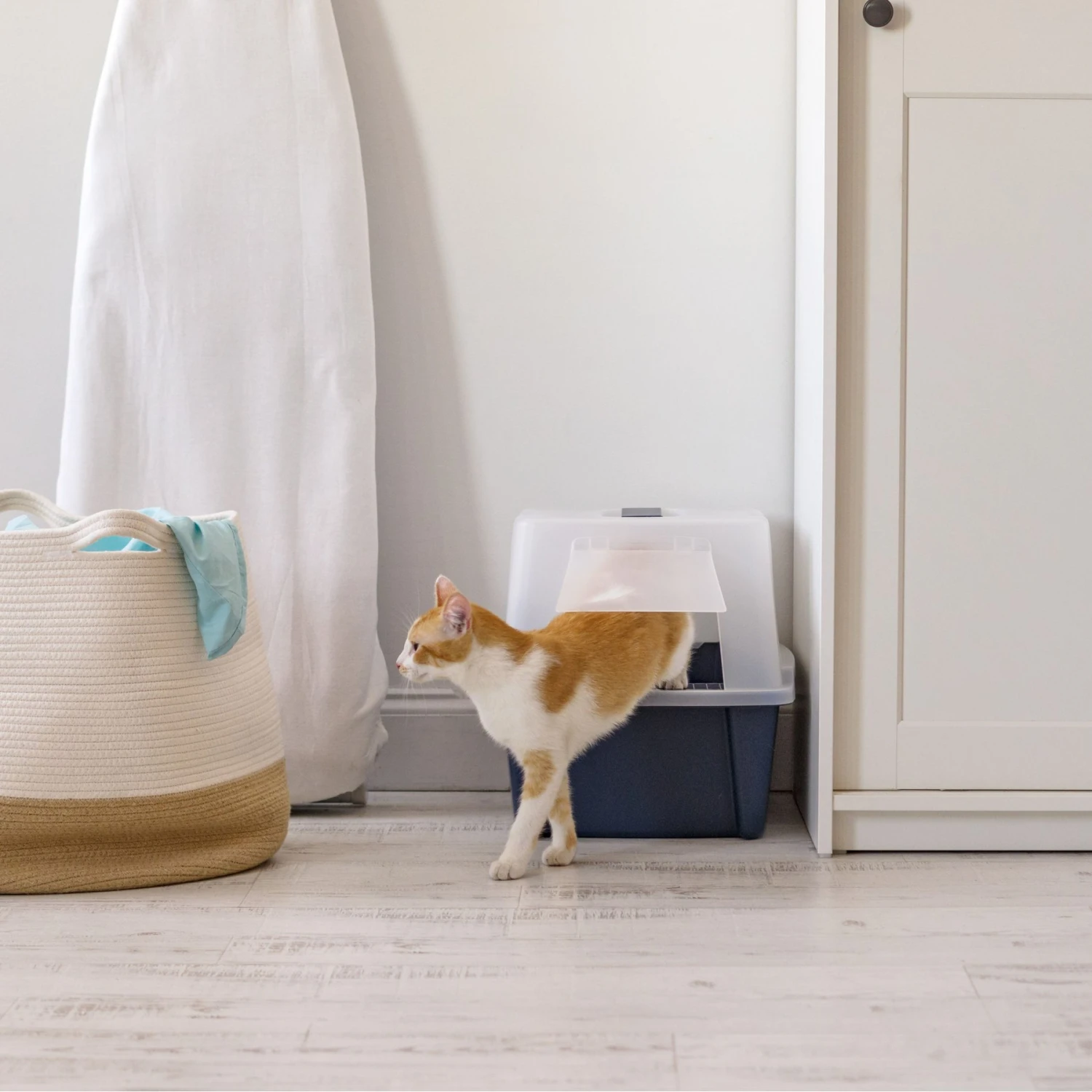 IRIS USA Enclosed With Front Door Flap & Scoop Cat Litter Box 9 IRIS USA Enclosed With Front Door Flap & Scoop Cat Litter Box - Image 7