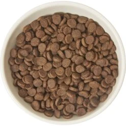 Frisco Double-Sided Ceramic Elevated Cat Bowl -Pet Supplies Store 232081 PT3. AC SS1800 V1605145964