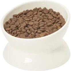 Frisco Double-Sided Ceramic Elevated Cat Bowl -Pet Supplies Store 232081 PT6. AC SS1800 V1684760471