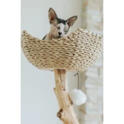 Mau Lifestyle Uni 41-in Faux Fur Basket Bed Cat Tree -Pet Supplies Store 235558 PT5. AC SS1800 V1632780171