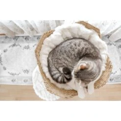 Mau Lifestyle Uni 41-in Faux Fur Basket Bed Cat Tree -Pet Supplies Store 235558 PT7. AC SS1800 V1632781669