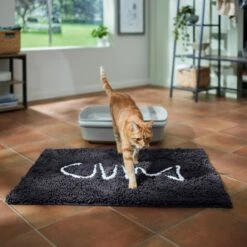 Frisco Microfiber Chenille Fish Bone Litter Mat -Pet Supplies Store 236242 PT3. AC SS1800 V1676556249