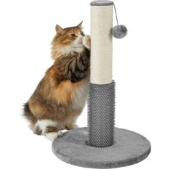 Frisco 21-in Sisal Cat Scratching Post With Toy & Groomer -Pet Supplies Store 236533 PT2. AC SS1800 V1615987395