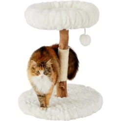 Frisco Natural Wood Modern Cat Tree With Toy, Ivory, Small -Pet Supplies Store 236559 PT2. AC SS1800 V1615987338