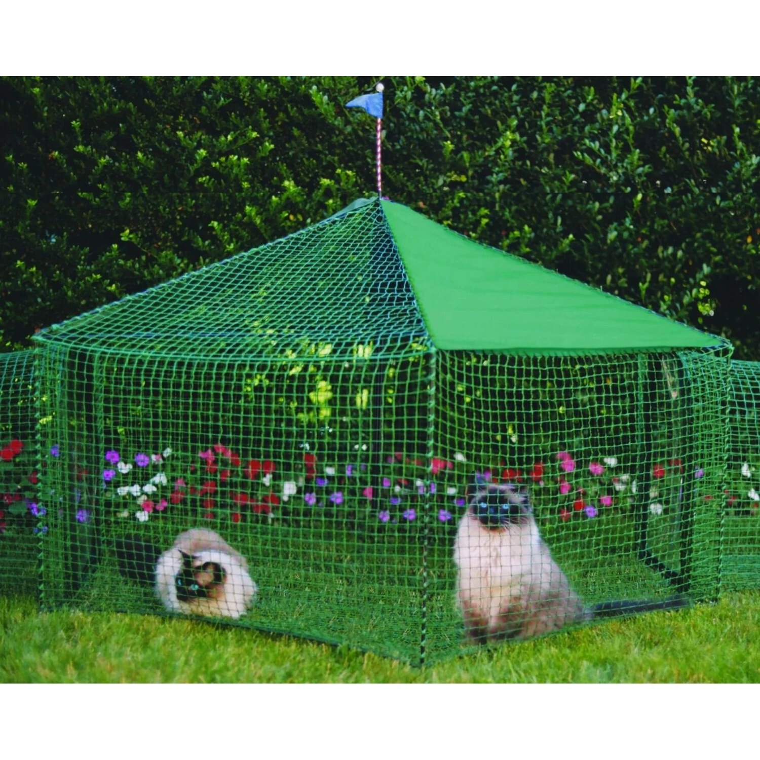 Kittywalk Gazebo Yard & Garden Outdoor Cat Playpen 4 Kittywalk Gazebo Yard & Garden Outdoor Cat Playpen - Image 2
