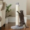 Frisco 35-in Heavy Duty Sisal Cat Scratching Post With Toy 1 Frisco 35-in Heavy Duty Sisal Cat Scratching Post With Toy -Pet Supplies Store 238150 MAIN. AC SS1800 V1616521935