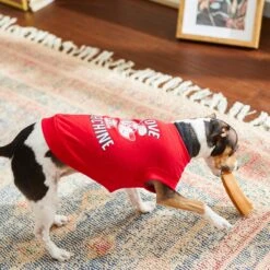 Frisco Love Machine Dog & Cat T-shirt 16 Frisco Love Machine Dog & Cat T-shirt -Pet Supplies Store 238160 PT6. AC SS1800 V1608595661